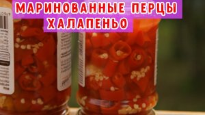 Маринованные перцы Халапеньо.