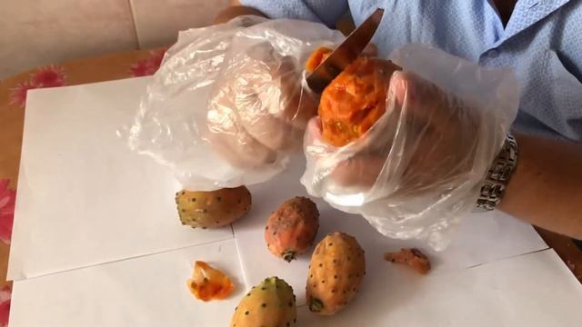 Пробуємо кактус!?! смотреть онлайн