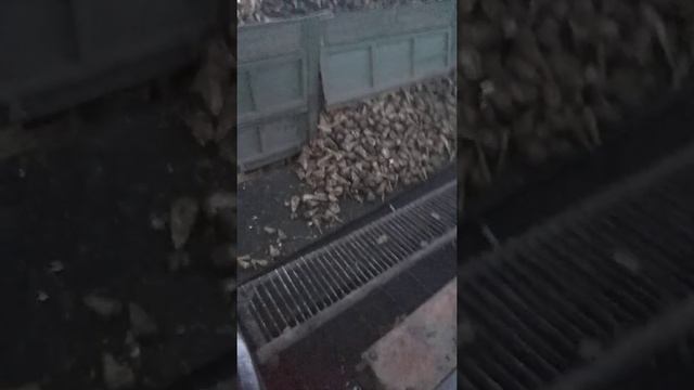 И ещё выгрузка авто на БУМе смотреть онлайн