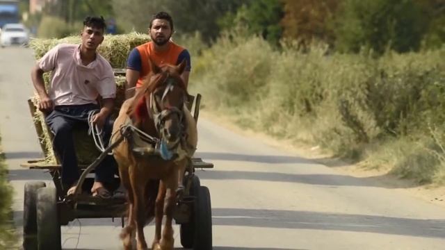 Северная Македония: интересные факты смотреть онлайн