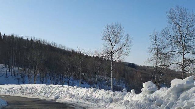 Как Осиновский перевал на Северное Апрель Восточный Казахстан смотреть онлайн