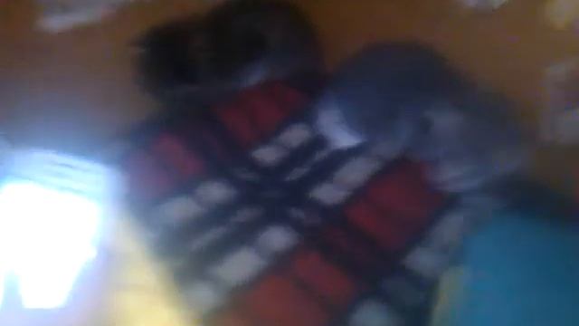 Кошка принесла котят смотреть онлайн