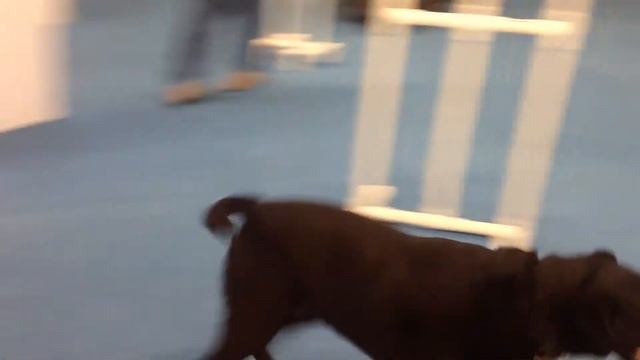 Sister Judy & Sass смотреть онлайн