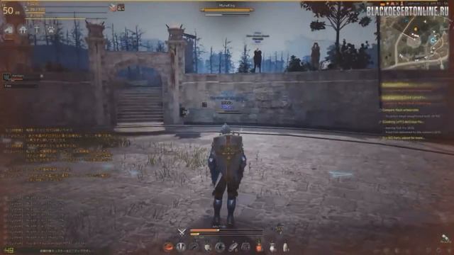 Black Desert. Большой обзор класса воин смотреть онлайн
