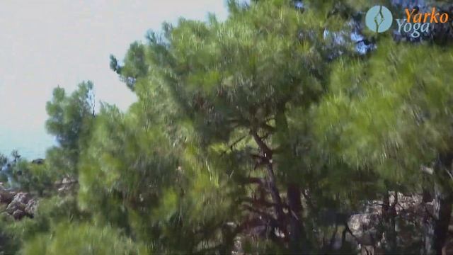 Прогулка на мыс Айя смотреть онлайн
