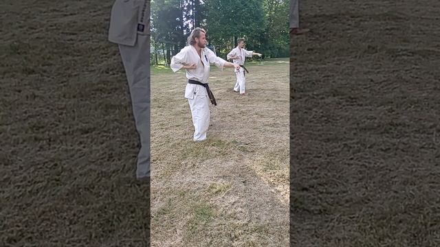Seiken chudan tsuki - spowolnienie смотреть онлайн