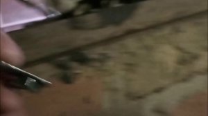 Форд Фокус 2 Установка защиты поддона.