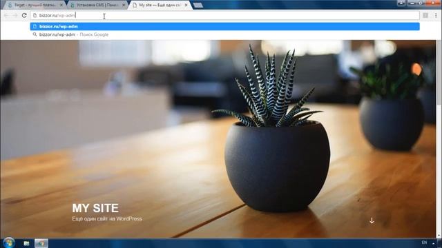 Устанавливаем CMS WORDPRESS на хостинг Beget смотреть онлайн