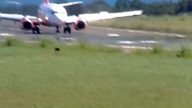 PR-GIT pousando em Palmas смотреть онлайн
