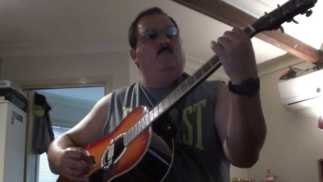 Aria Acoustic Guitar Demo By Denis Norman смотреть онлайн