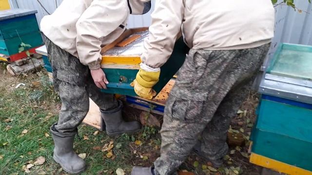 уникальная диафрагма, зимовка слабых отводков. смотреть онлайн