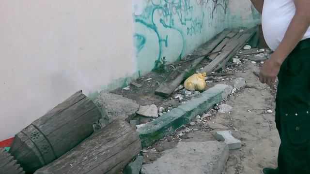 Фигурки спиленные Антоном Васильевым восстановят по инициативе Александра Якнк смотреть онлайн