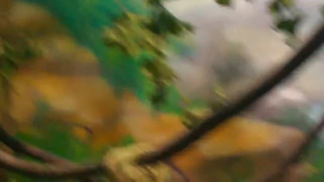 Путешествие в Грузию (часть 2) Воронеж ОКЕАНАРИУМ Travel to Georgia ( part 2 ) Voronezh OCEANARIUM смотреть онлайн