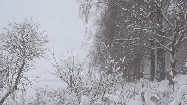 Любовь тульпы. Отношения с тульпой. смотреть онлайн