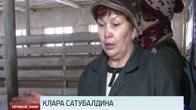 Дружелюбные козы из уральской деревни дают 100 тонн молока в год