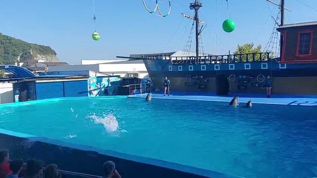 Архипо-Осиповка август 2023 года ? Дельфинарий ? Видео: Людмила Аминова смотреть онлайн