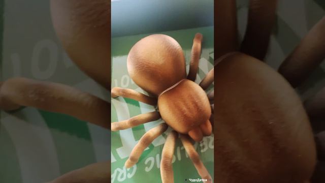 Совсем не страшный Паук на пульте. Игрушки детям / 9986 М смотреть онлайн