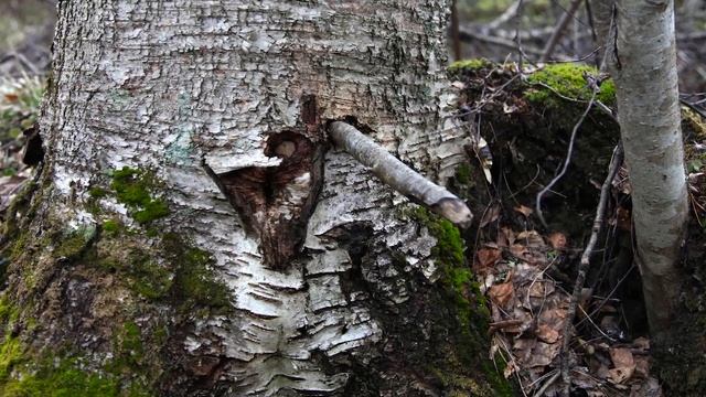 Учим Делать с Страстью и Профессионализмом