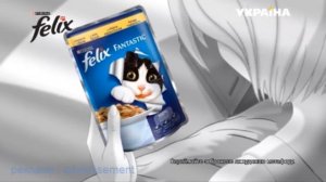 Феликс кот