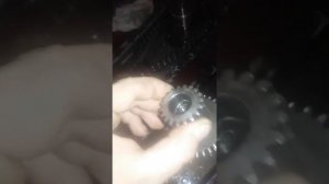 Разборка редуктора мотокультиватора ЧЕМПИОН