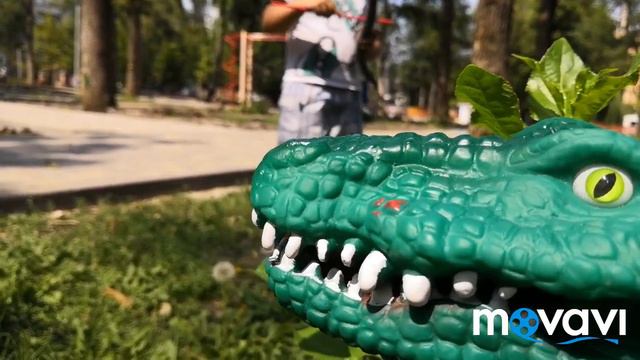 Охота на крокодила. Шоу. Hunting for a crocodile. Show. смотреть онлайн