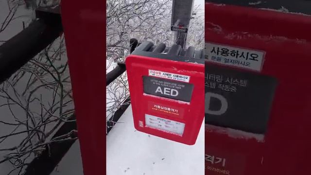 SKI RESORT IN SOUTH KOREA /Tiktok Live Vlog /Muju Ski Resort and Cable Car Ride смотреть онлайн