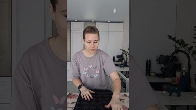 Сажаем сладкий перец на рассаду #сад #дача #рассада #перец #комнатныецветы #огород смотреть онлайн