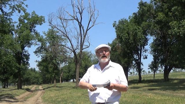 Иван Николаевич Милев - Кто согласен?! смотреть онлайн