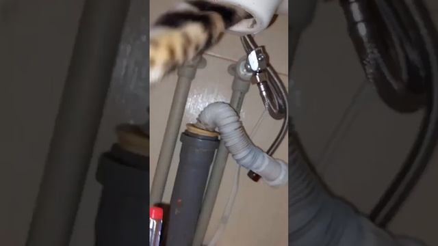 Отвертку подай! смотреть онлайн