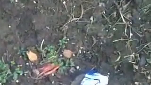 Подарок к новому году от ПжиВ. смотреть онлайн