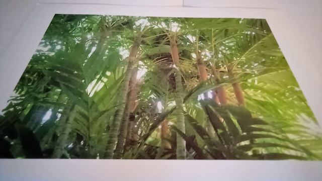 Легенда о бетеле. Вьетнамская сказка смотреть онлайн