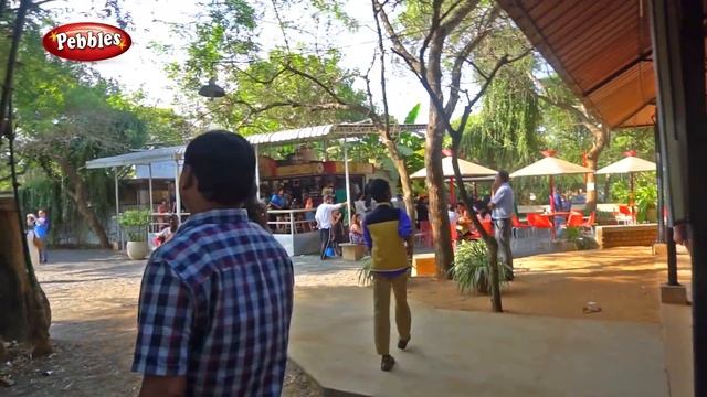 Auroville Puducherry | Travel Guide | Auroville Experience смотреть онлайн