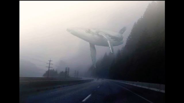 топ песни синего кита песни которые стояли в Десятки лучших песен синий кит#74#56# смотреть онлайн