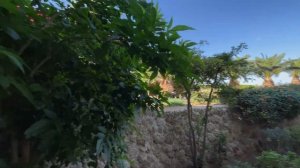 Египет. Неужели лучший? Stella Di Mare Beach 5*. Обзор отеля. Шарм эль Шейх