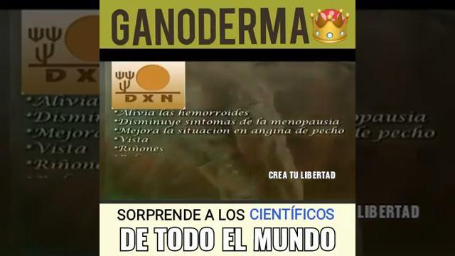 CÓMO TRATAR EL CUERPO смотреть онлайн