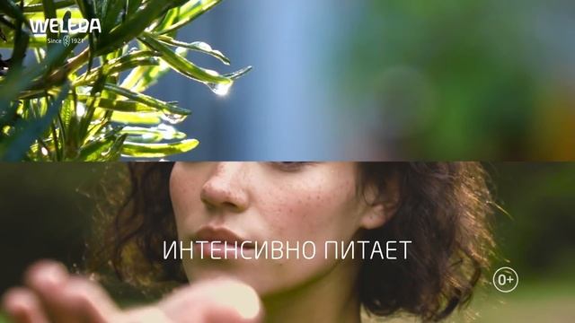 Серия Weleda Skin Food смотреть онлайн