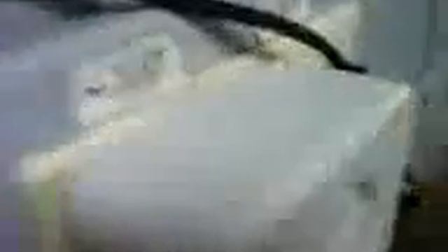Политех, радиотехника, прикол.mp4 смотреть онлайн