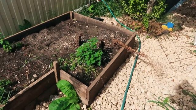 Будни мамы/Яблочное пюре на зиму/Готовим участок/Навестили Сеню/Покупки продуктов смотреть онлайн