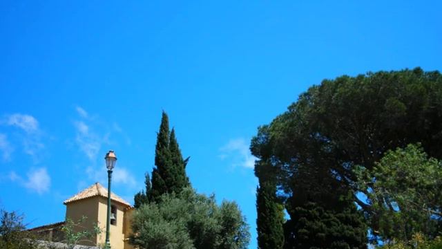 BORMES-LES-MIMOSAS смотреть онлайн