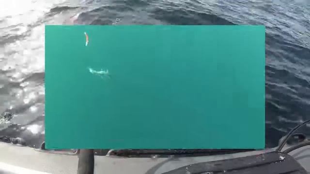 Весенний лов трески на Баренцевом море / Spring cod fishing in the Barents seaHD 2019 смотреть онлайн