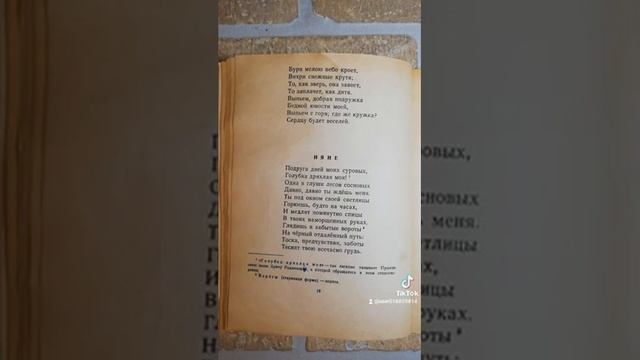 Стихи "Зимний вечер" и "Няне". А.С.Пушкин. смотреть онлайн