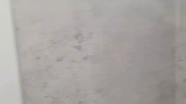 1 комн. Калининград, ул. Кипарисовая 2 смотреть онлайн