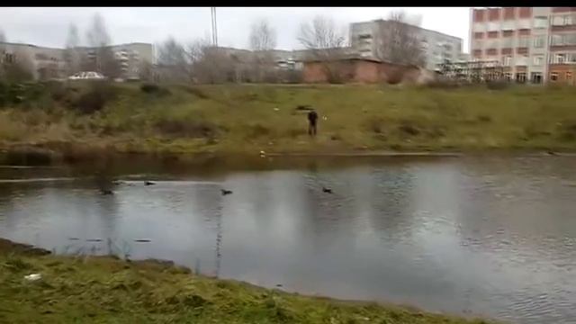 whisper about the forest/Шепот про лес смотреть онлайн