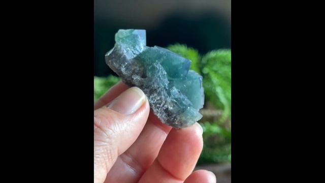 Naughty Gnome Fluorite Cluster - 6 смотреть онлайн