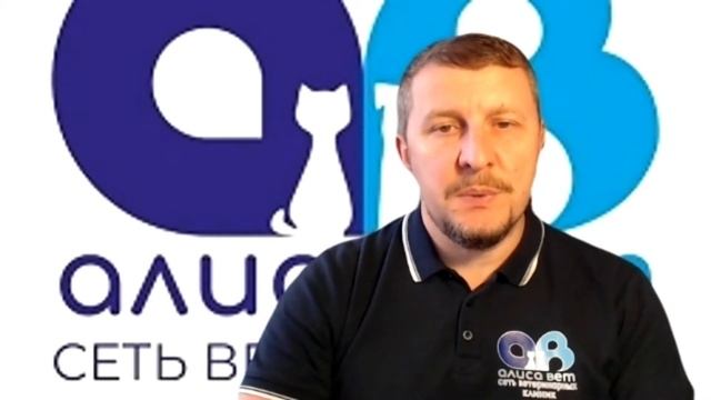 День рождения у "Алисавет" - нам 15 лет! смотреть онлайн