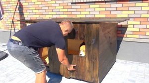 ШЕРЛОК НЕ ХОЧЕТ ЖИТЬ В НОВОЙ БУДКЕ. БРОС ШОУ ПЕТ