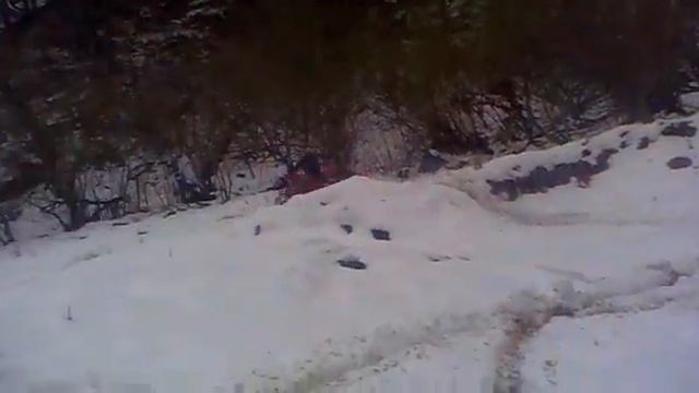 иж планета 5