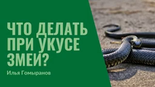 32. Змеи, яд, укусы смотреть онлайн