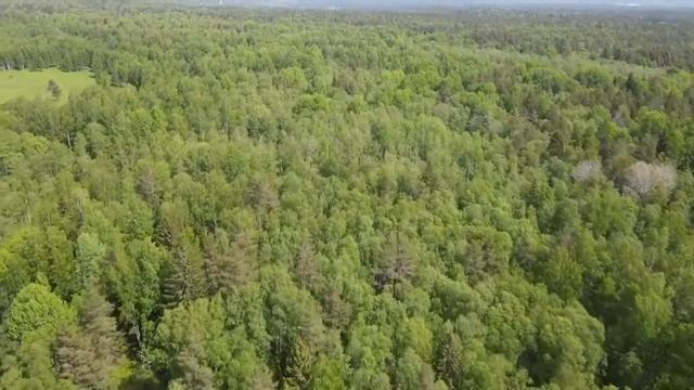 Купить земельный участок 1,5 Га Всеволожский р-н | АЛЕКСАНДР-НЕДВИЖИМОСТЬ смотреть онлайн