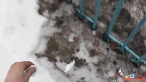 GSM модуль ESIM 320 3G недоступен. Сгорел или нет?